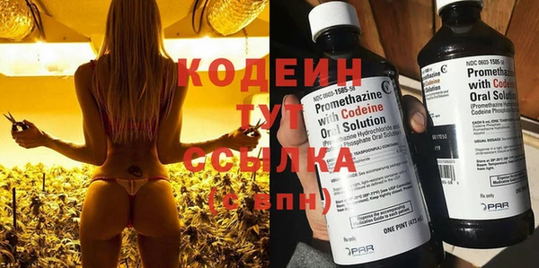прущие грибы Алзамай