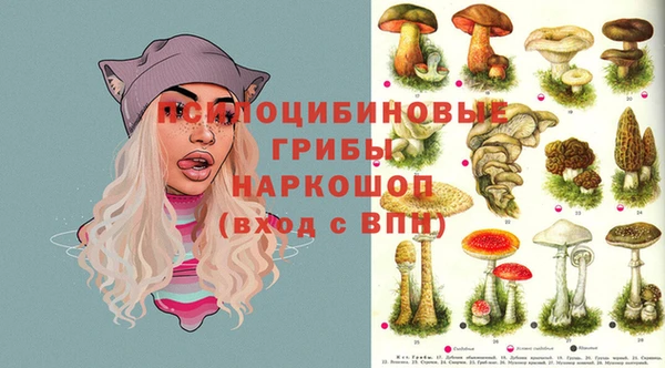 прущие грибы Алзамай