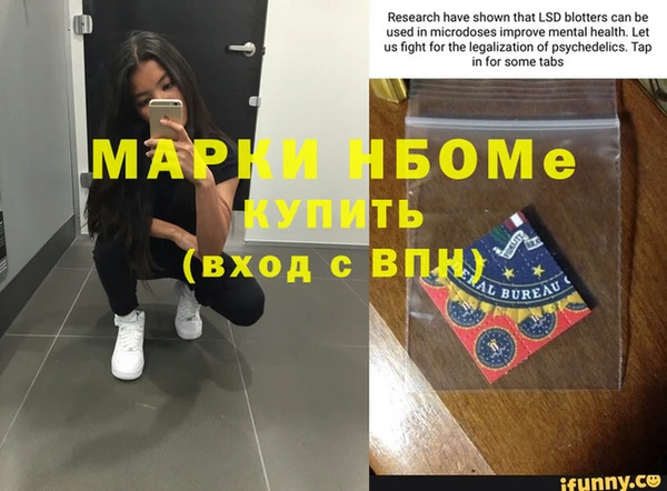 прущие грибы Алзамай