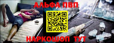 мет Кингисепп