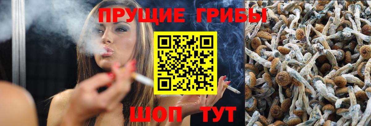 Псилоцибиновые грибы Cubensis  Вход с VPN  Нефтекумск  Галлюциногенные грибы Psilocybine cubensis 