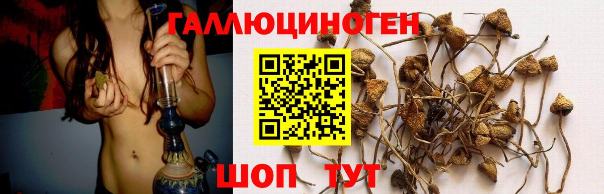 Галлюциногенные грибы прущие грибы Нефтекумск